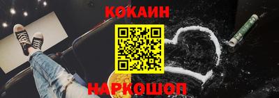 шишки Кандалакша