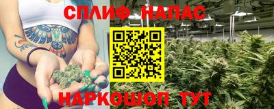 шишки Кандалакша