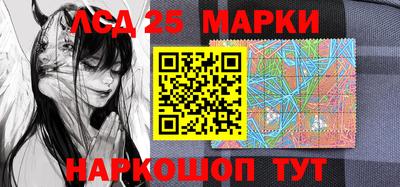 шишки Кандалакша