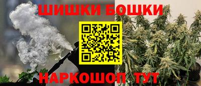шишки Кандалакша