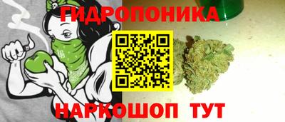 Альфа ПВП Канаш