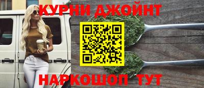 шишки Кандалакша