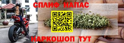 шишки Кандалакша